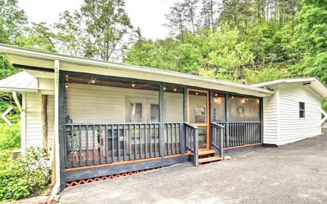 Modern Style Peaceful Tranquility Pet Friendly