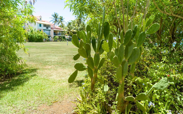 Pop'S Plage Appartement