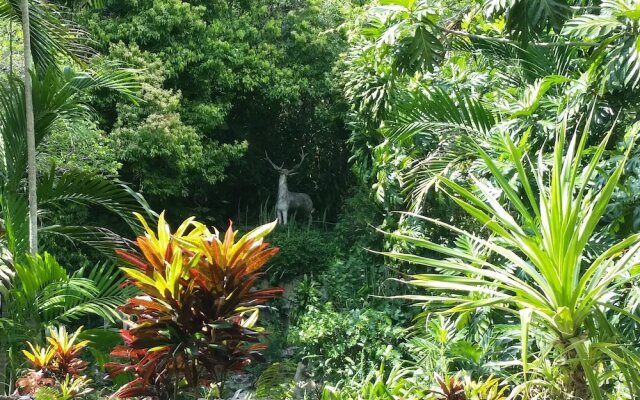 Pulse Suites at Villa Ronai