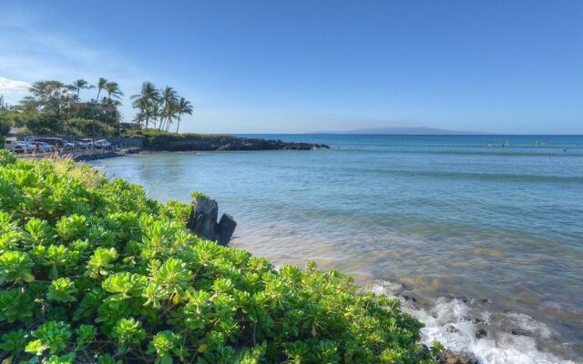 Island Surf 312