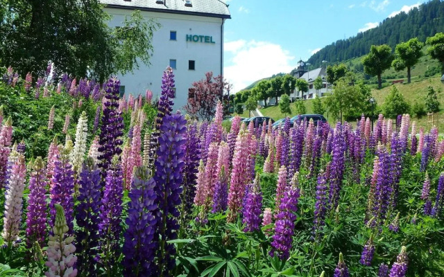 Typically Swiss Hotel Altana