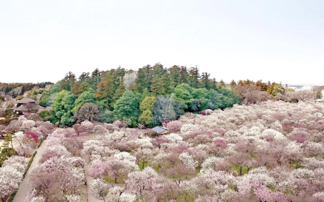 Mito Keisei Hotel