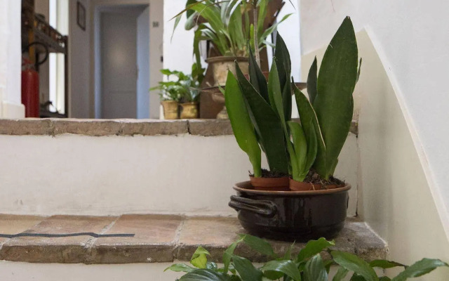 Hotel Porta del Tempo