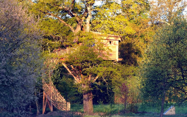 La Cabane Du Vieux Chêne
