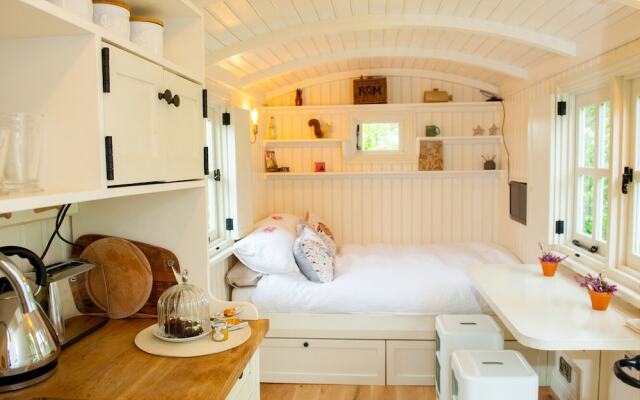 The Snug