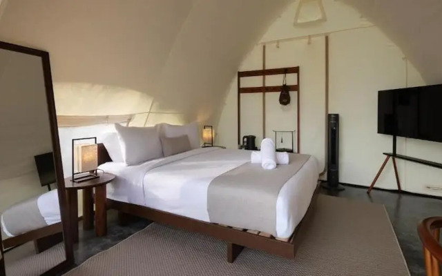 Zen By Stellar Cameron