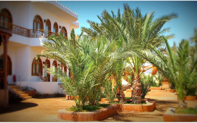 Shams  & Dive Centre