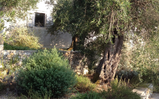 Torri e Merli