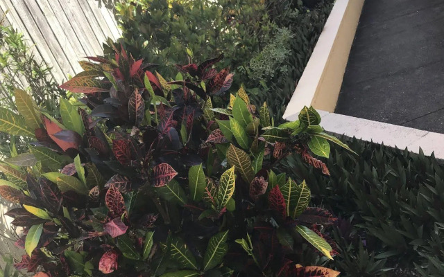 Toowong Inn & Suites