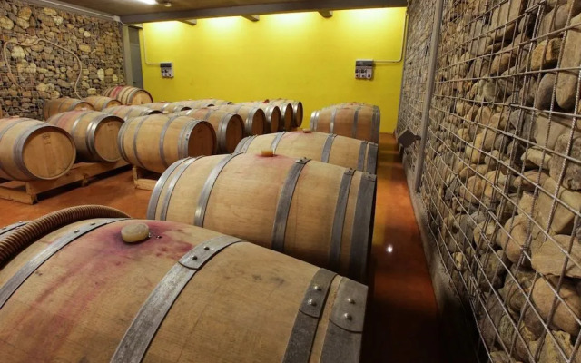 Eco Bio Agriturismo La Bella Vite - Camere Con Vigna