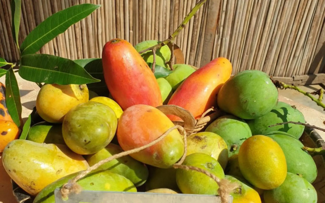 Villa Malandy Appart Hôtel Duplex 2