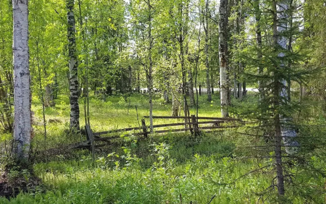 Kuukkeli Ivalo Arctic House