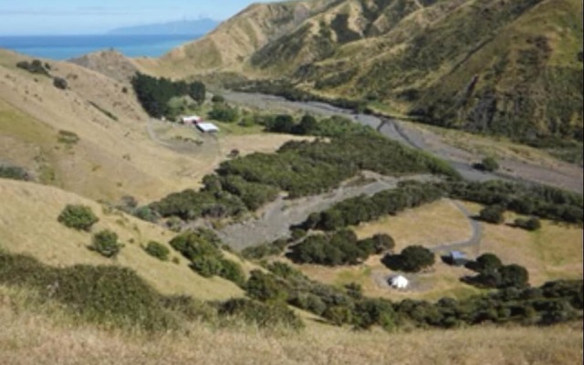 Kawakawa Cottage