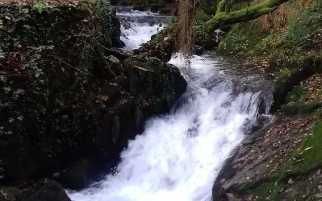 Barn Loft With Tree top Views