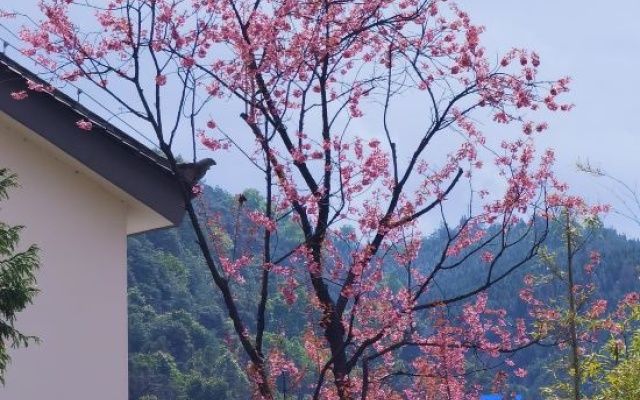 Tianmu Anqing Hot Spring Villa – Outside – Baoshan