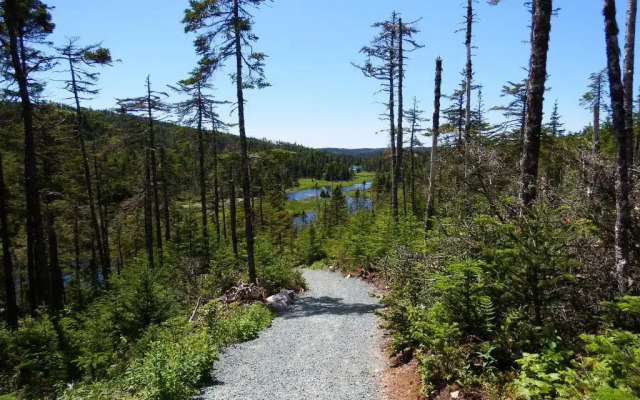 The Wilds at Salmonier River