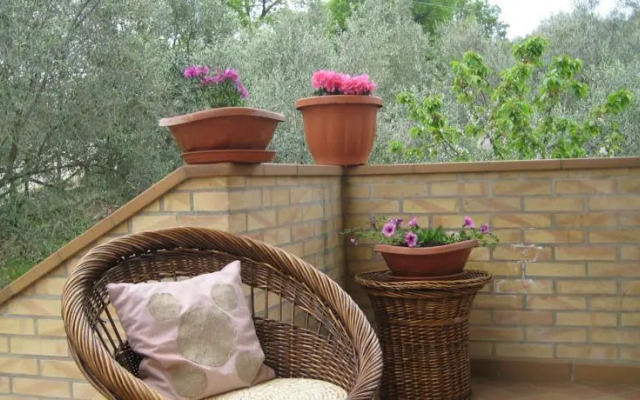 La Selva dellAmpolla