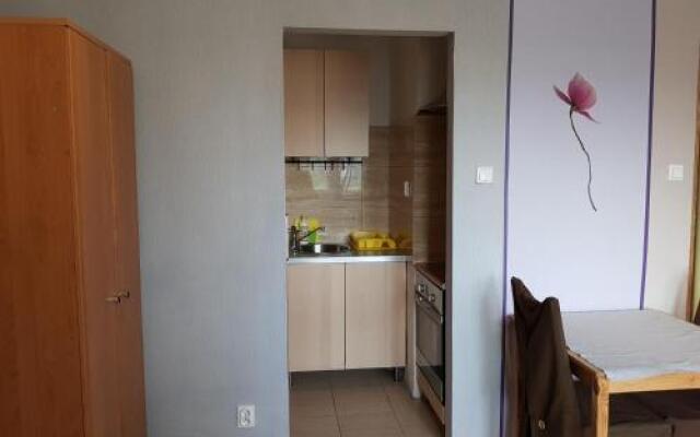 StudioSpanie Studio Orange