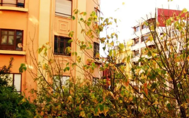 XY Travellers Guest House