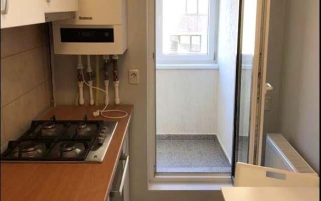 Studio in Roșu, with Balcony And Wifi