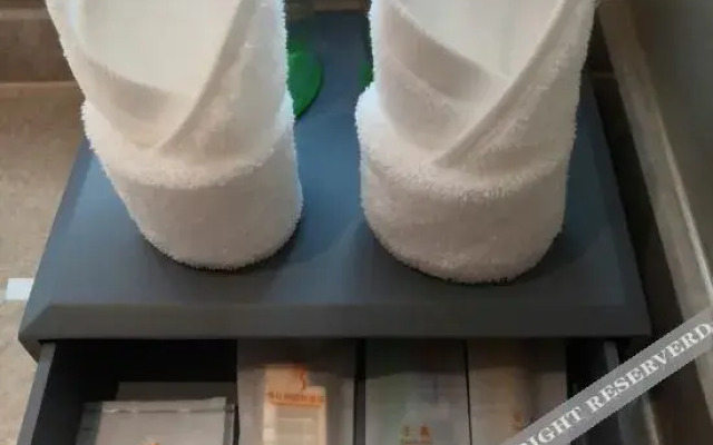 Vienna International Hotel (Chongqing Dazu Center)