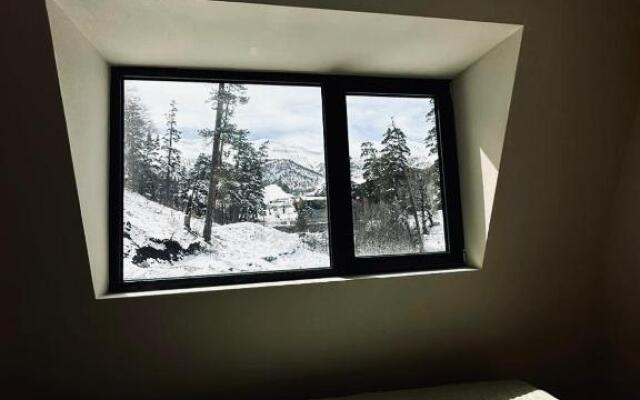 Window development apartment #32