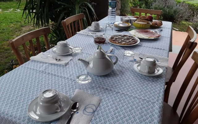 La collina degli olivi