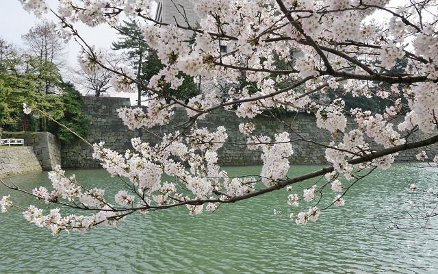 Hotel Fukui Castle