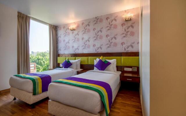 Treebo Premium Rose Mallow