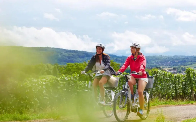 Ferienwohnung am Zeppelin Hangar