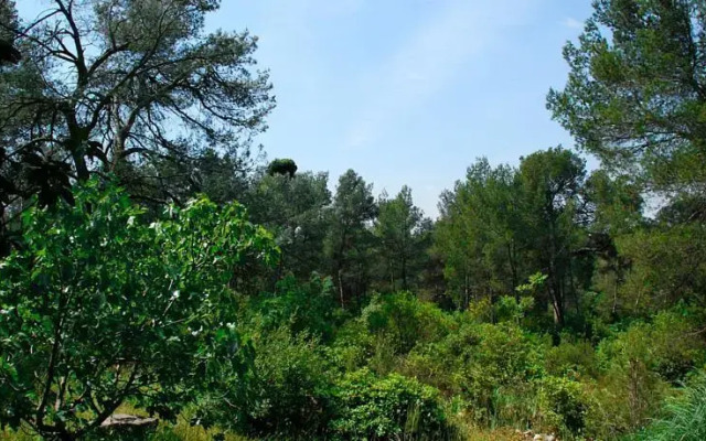 Villa au Coeur des Alpilles