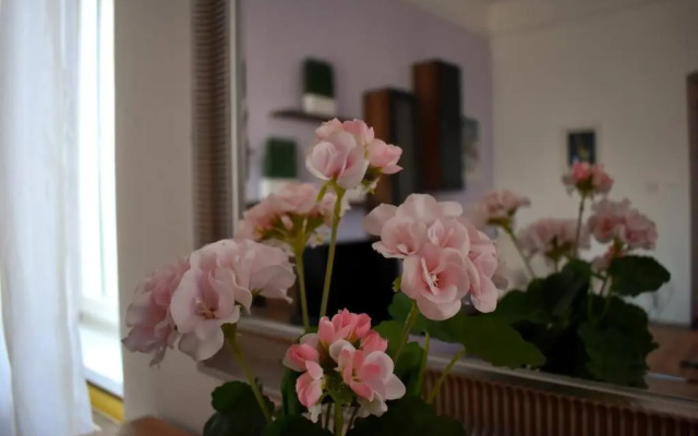 Park Danubes view central market Budapest