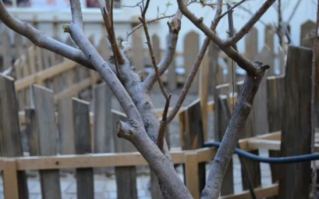 Yuanfang Family Courtyard Inn