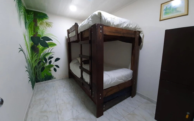 Hostel Casa del Arbol