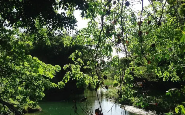 Suncampdr