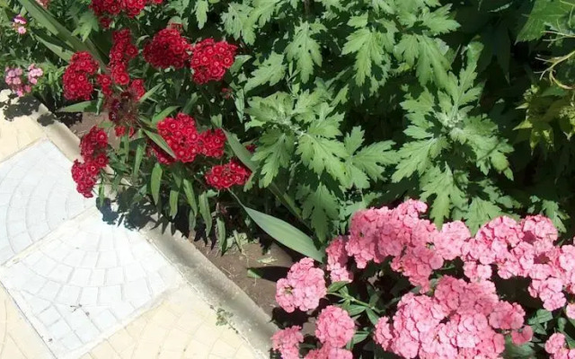 Varna Hotel