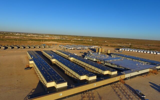 The Armadillo Hotel Jal