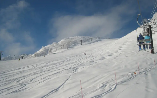 Pension Walnut / Vacation STAY 7890