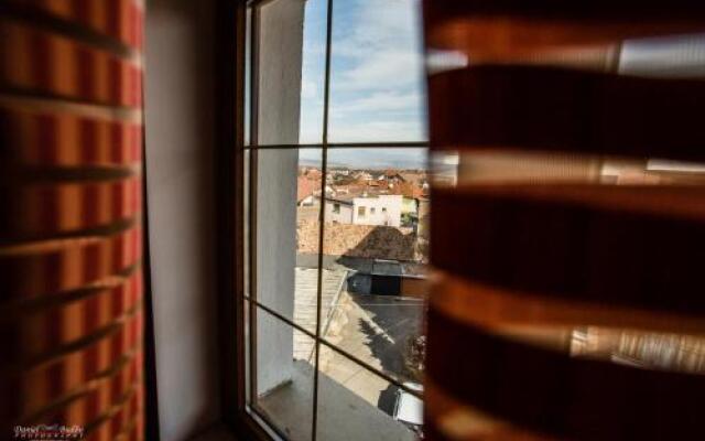 Pensiunea Vila Europa