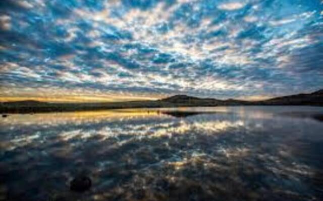 Golden Sunflower's Apartment Lawton Ok