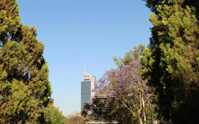 Estudio 2/ en Glorieta Chapalita