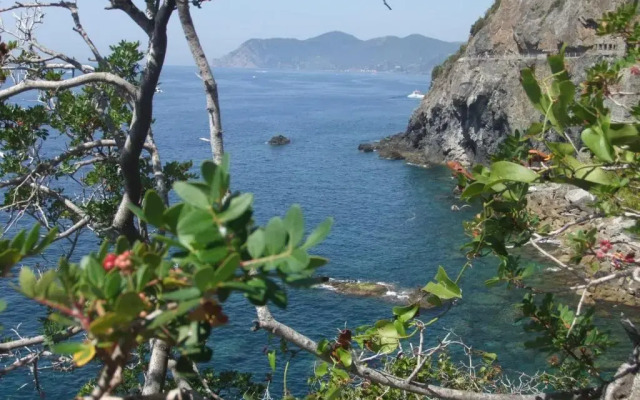 Cantina del Pescatore