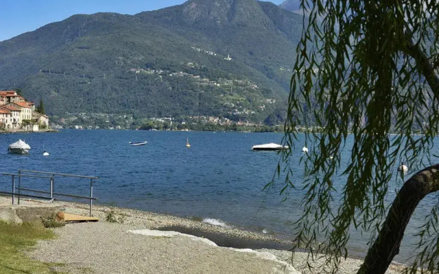 Sole