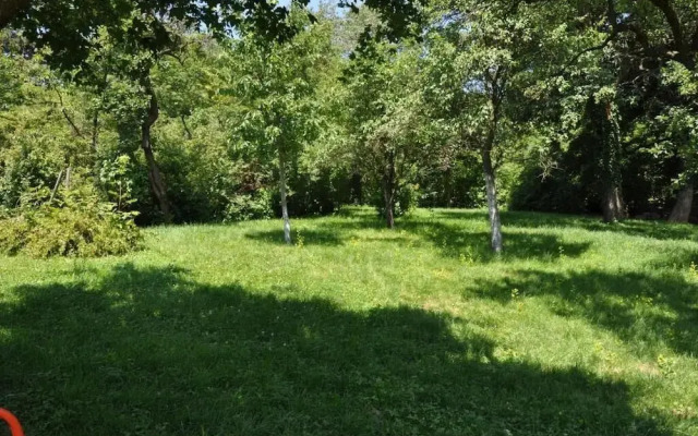 Umwelthotel Gallitzinberg