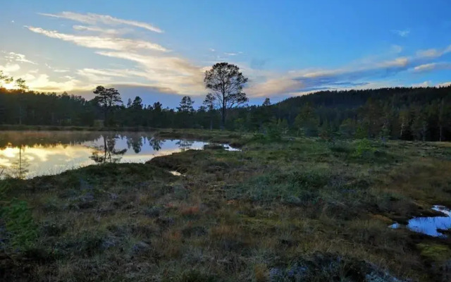Unik fjøsleilighet
