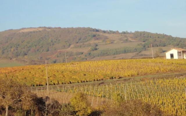 Domaine des Fonterouilles