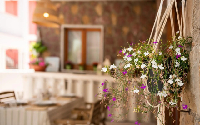 Villa Iole Apartment