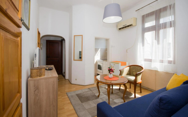 Downtown Star Apartment