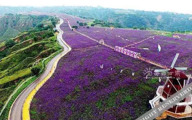 Qingcheng Lanxin Hotel