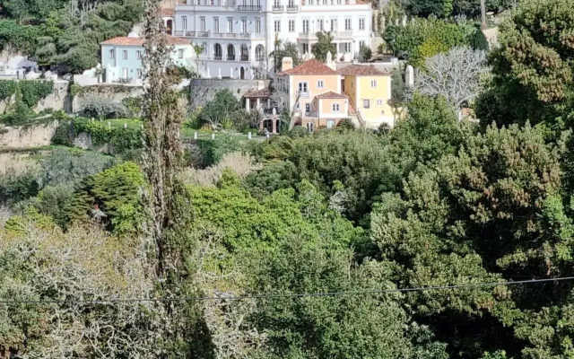 Suites by Bella Vista - Historic Guesthouse
